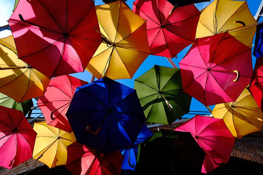 Colorful umbrellas in the rain, various, fashion, parasol, multi Colored