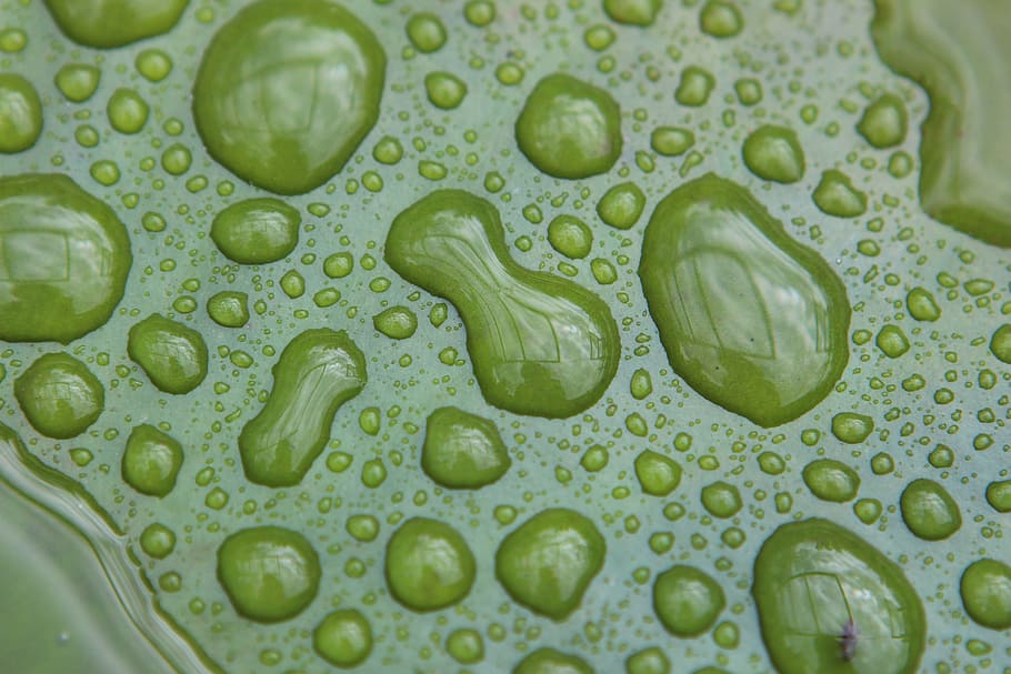 water drops, forms, figures, backgrounds, close-up, nature HD wallpaper