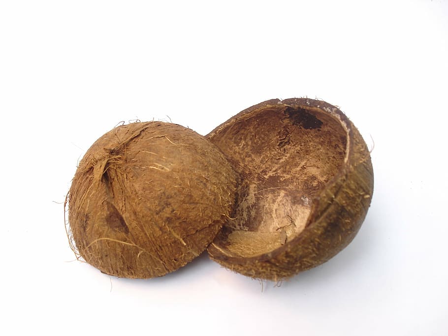 coconut husk, shell, coconut shell, half, halves, tropical HD wallpaper