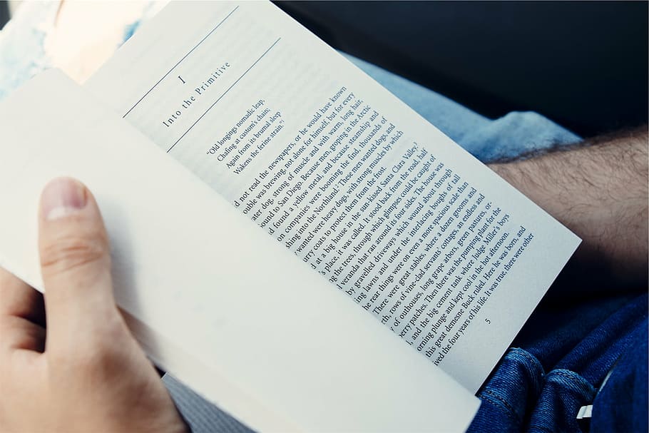 person reading book, holding, educational, pages, hands, human body part HD wallpaper