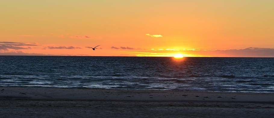 Sunset, Sea, Ocean, Beach, sky, summer, landscape, beautiful HD wallpaper