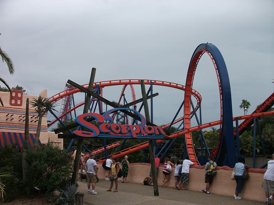 Roller, Coaster, Florida, amusement park, arts culture and entertainment HD wallpaper