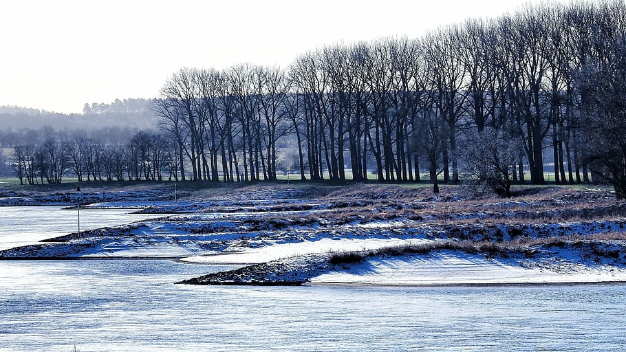 winter, ice, river, frozen, trees, landscape, frost, wintry HD wallpaper