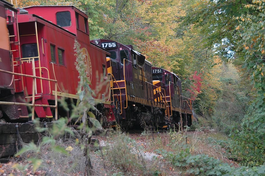 red train, track, transportation, rail, transit, public, railway HD wallpaper