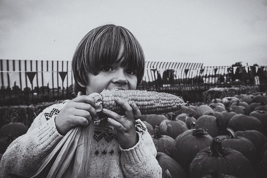 grayscale photo of boy eating corn standing near pumpkins, child HD wallpaper