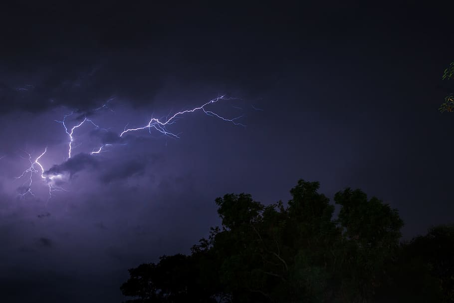 low angle photo of thunder and tree, Lightning, Thunder, Cloud HD wallpaper