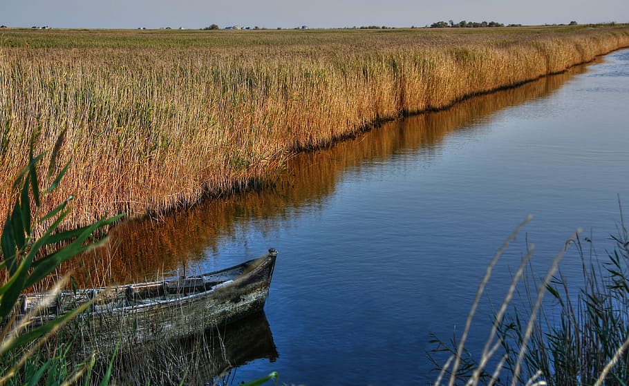 boat on the pond near brown field, gray boat on lake near paddy HD wallpaper