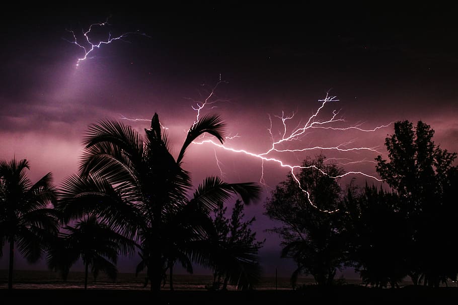 time-lapse photography of thunderbolt, lightning striking a tree HD wallpaper