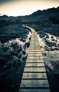 walkway, straight, path, footpath, trail, nature, direction HD wallpaper