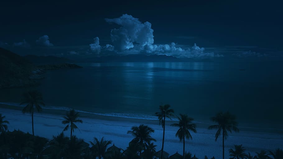 beach, clouds, nature, night, ocean, palm trees, sand, sea, HD wallpaper