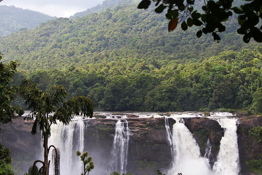 caribbean, cascade, daylight, flow, jungle, landscape, motion HD wallpaper