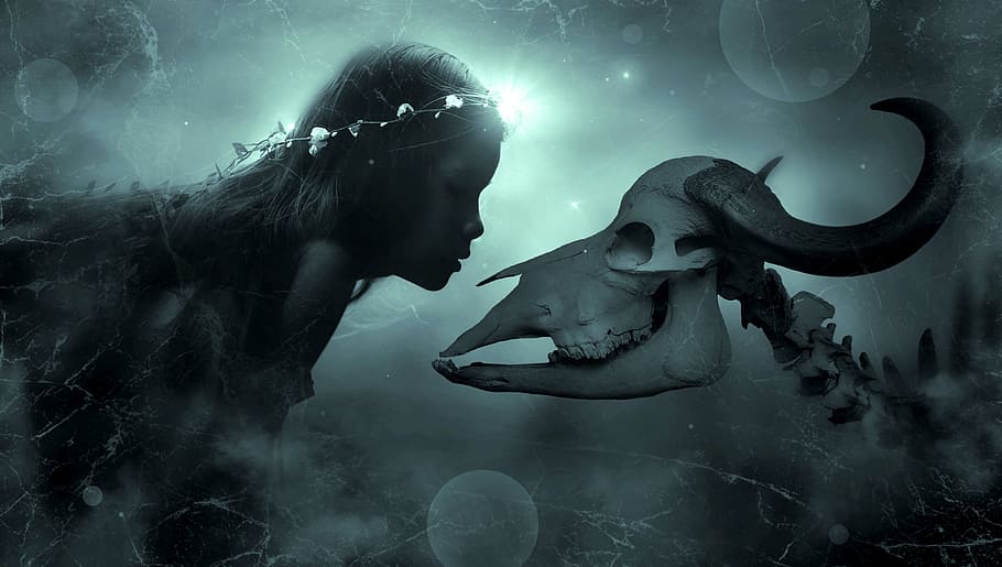 woman and animal skull wallpaper, fantasy, mysterious, girl, skeleton