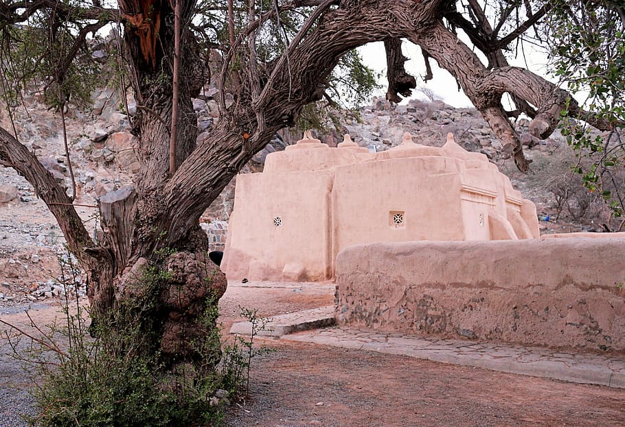 mosque, old, tree, plant, architecture, history, no people HD wallpaper