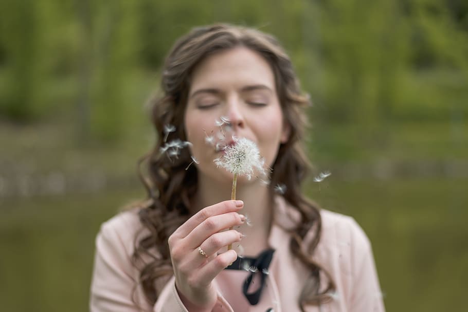 woman blowing dandelion flower, woman blowing flowers, shallow focus, HD wallpaper