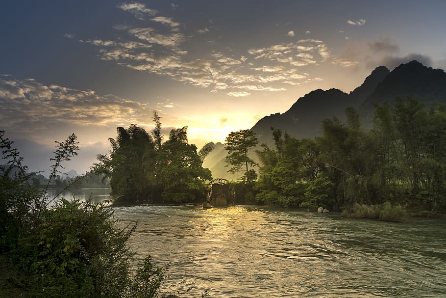 body of water in between forest during golden hour photo, rivers