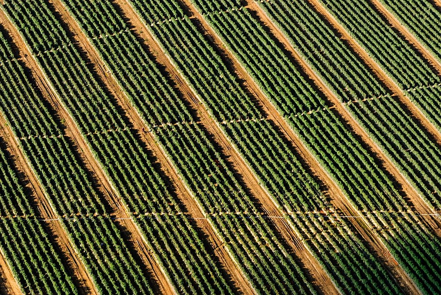 grass field, farm, fields, crops, dirt, aerial, view, full frame HD wallpaper