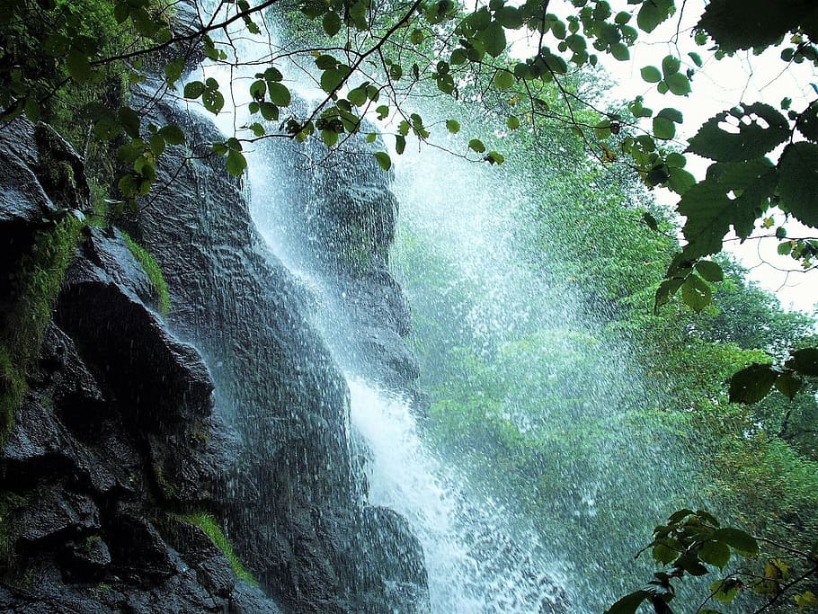 waterfalls during daytime, nature, murmur, landscape, forest HD wallpaper