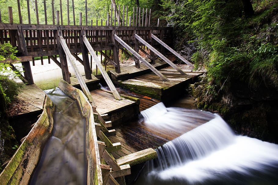 water, stream, waterfall, mountain stream, alpine, forest, rapids HD wallpaper