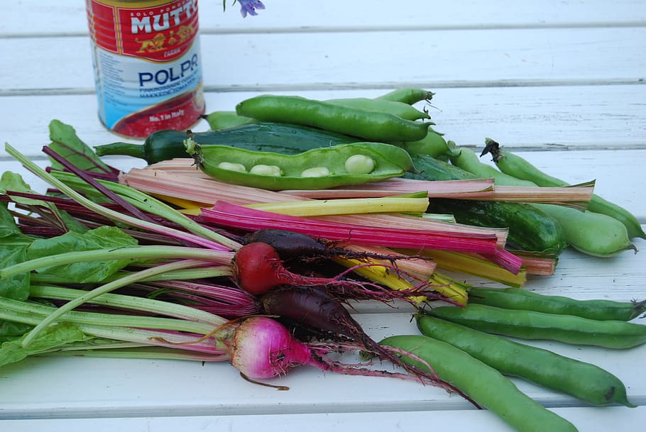 cultivation, beans, garden, summer, vegetable, healthy eating, HD wallpaper