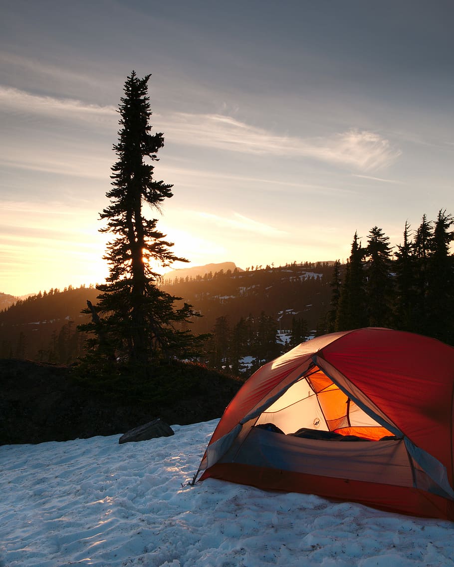 orange dome tent near trees during sunrise, red tent on snow near pine trees HD wallpaper