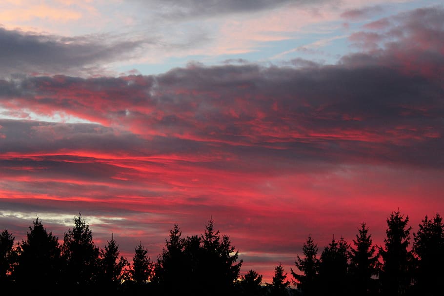Forest, Silhouettes, Sunset, Afterglow, evening sky, abendstimmung HD wallpaper