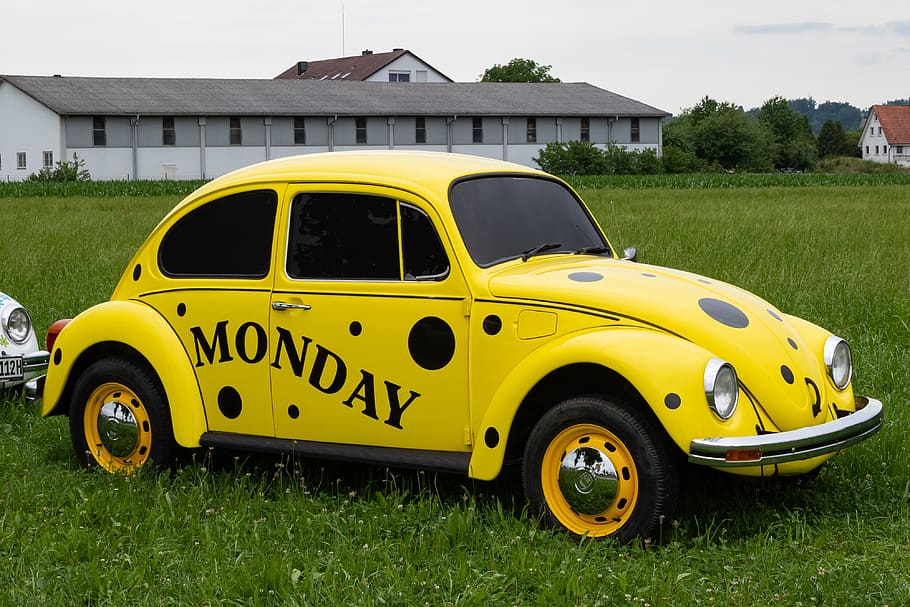 vw, beetle, volkswagen, oldtimer, vw beetle, auto, classic, HD wallpaper