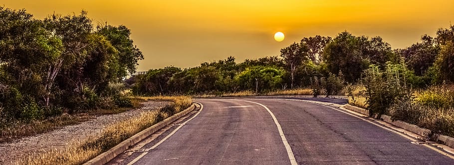 forest near concrete road, sunset, turn, asphalt, journey, travel HD wallpaper