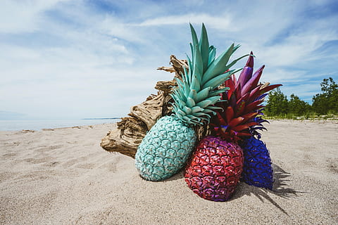 pineapples on brown driftwood on sand near seashore during daytime HD wallpaper