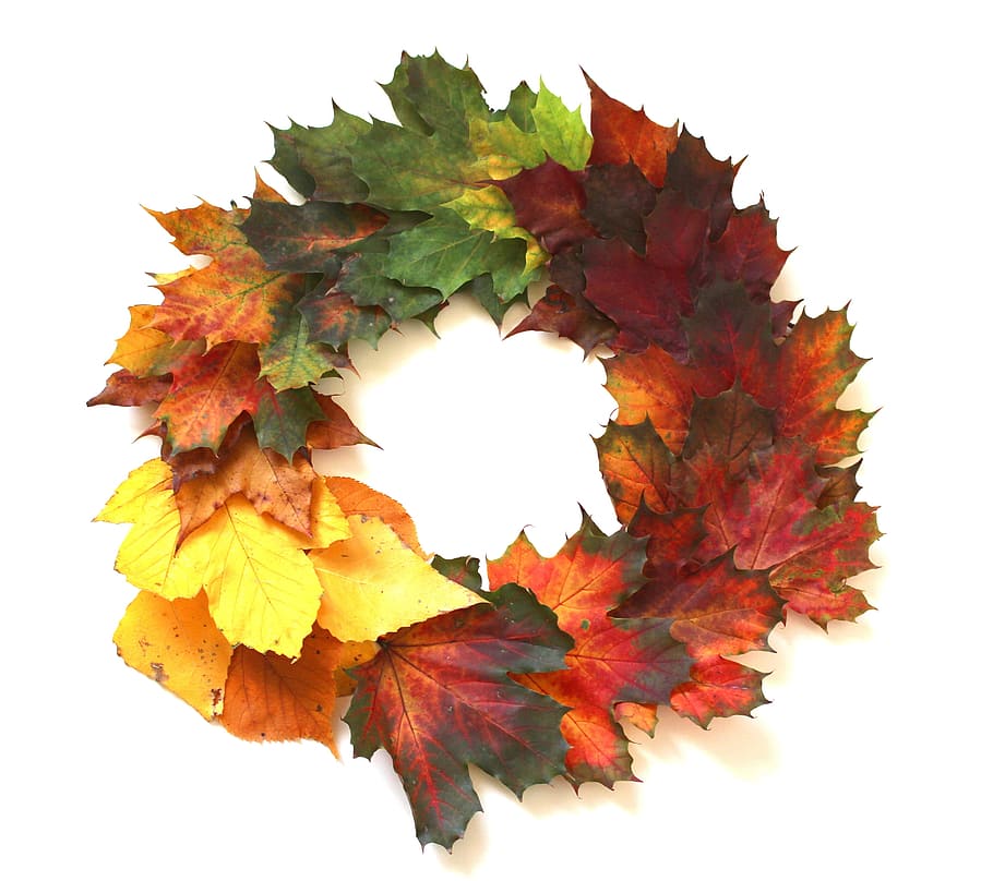 assorted-color maple leaves wreath, autumn, fall foliage, leaf HD wallpaper