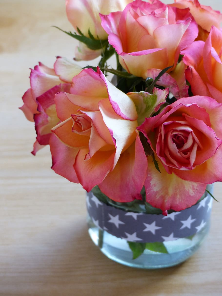 Flowers, Nature, Roses, petal, rose - flower, pink color, no people HD wallpaper