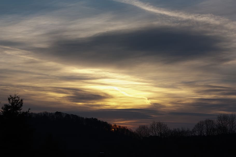 sky, sunrise, yellow, cloud - sky, tree, beauty in nature, silhouette HD wallpaper