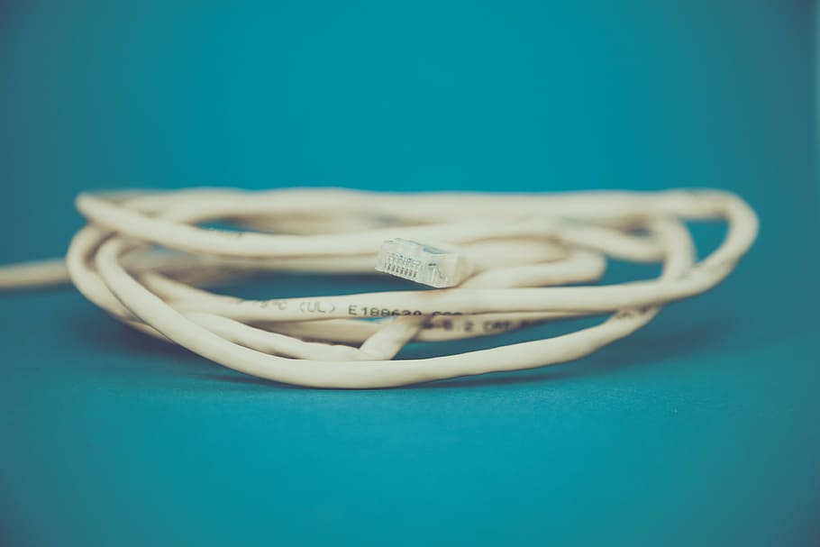 lan, cable, patch cable, network, data processing, network cables HD wallpaper