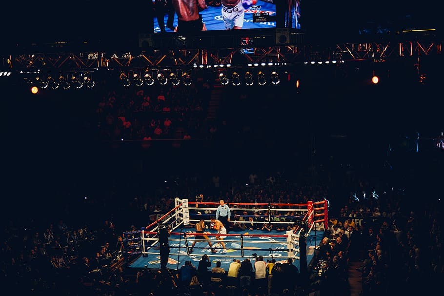 Boxing Ring Match Crowd 