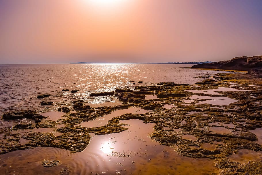body of water with mosses, sunset, sea, reflections, dusk, seashore HD wallpaper
