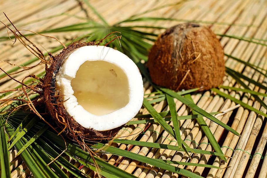 slice coconut shell, brown, pulp, exotic, food, food and drink HD wallpaper