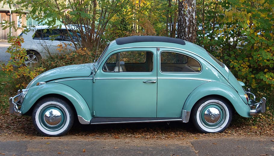 teal Volkswagen Beetle park near treee, vw beetle, oldtimer, automotive, HD wallpaper