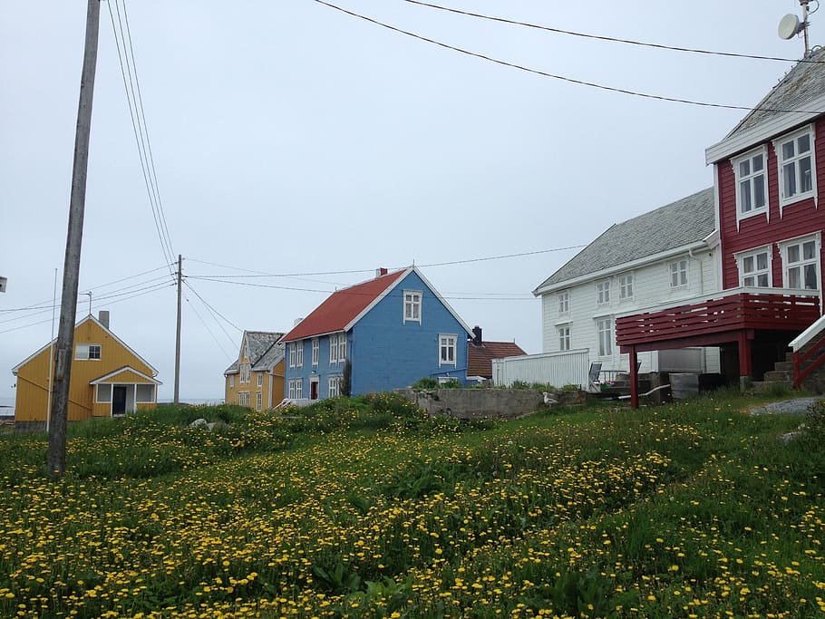 grip, norway, old houses, island, built structure, building exterior, HD wallpaper