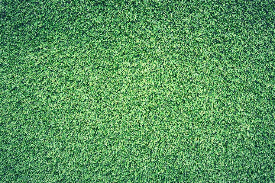 green grass field digital wallpaper, lawn, texture, backgrounds HD wallpaper