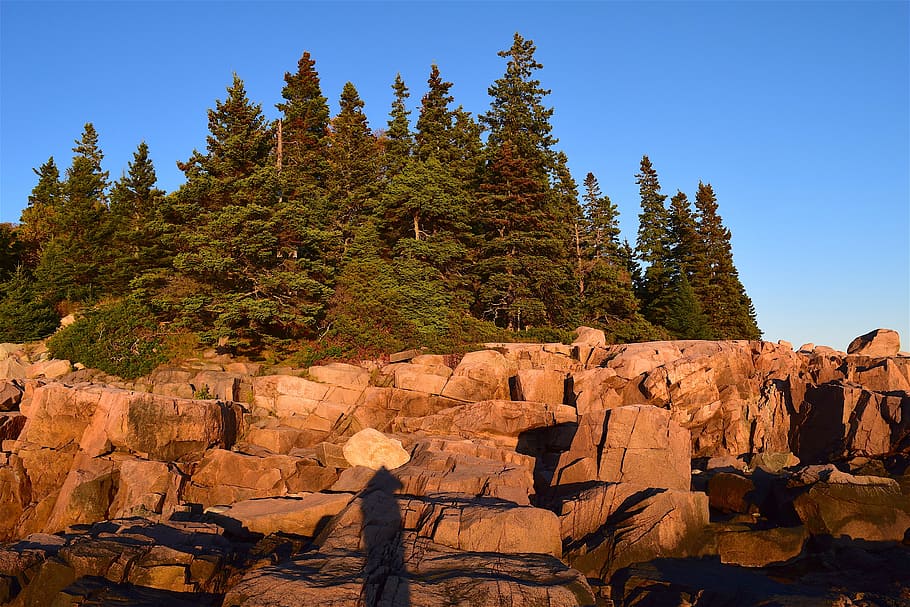sunset, trees, rocks, pine trees, maine, nature, landscape HD wallpaper