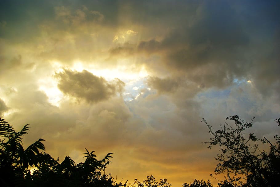 sky, lights, clouds, storm, grey, sun, evening, summer, trees HD wallpaper