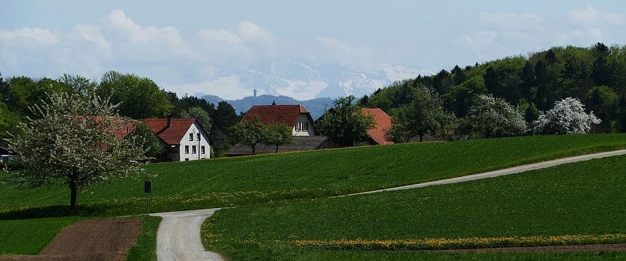 landscape, nature, mountains, trees, fields, way, plant, architecture HD wallpaper