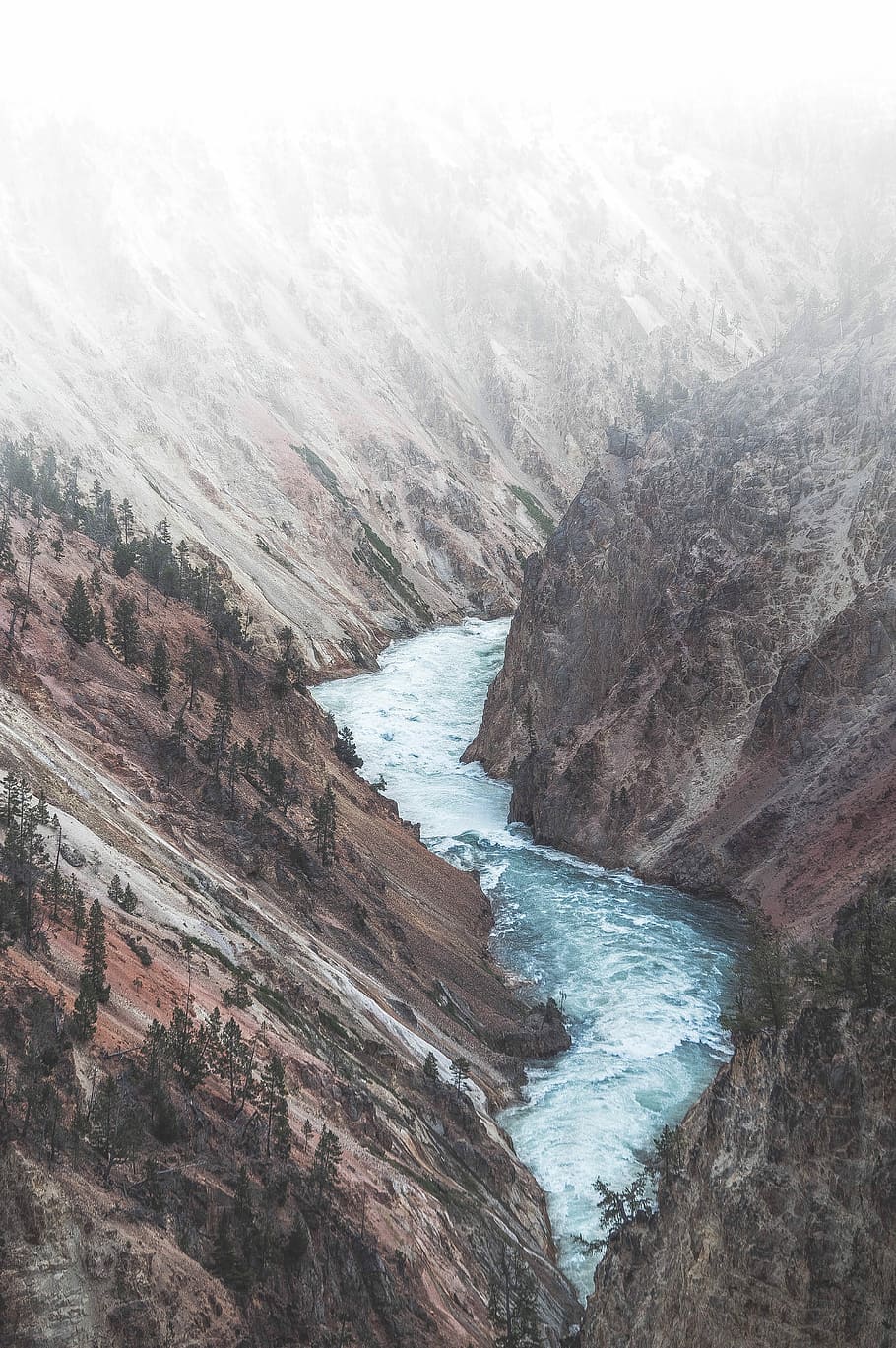 body of water in between mountains with trees, aerial photography of river between brown rock formations HD wallpaper