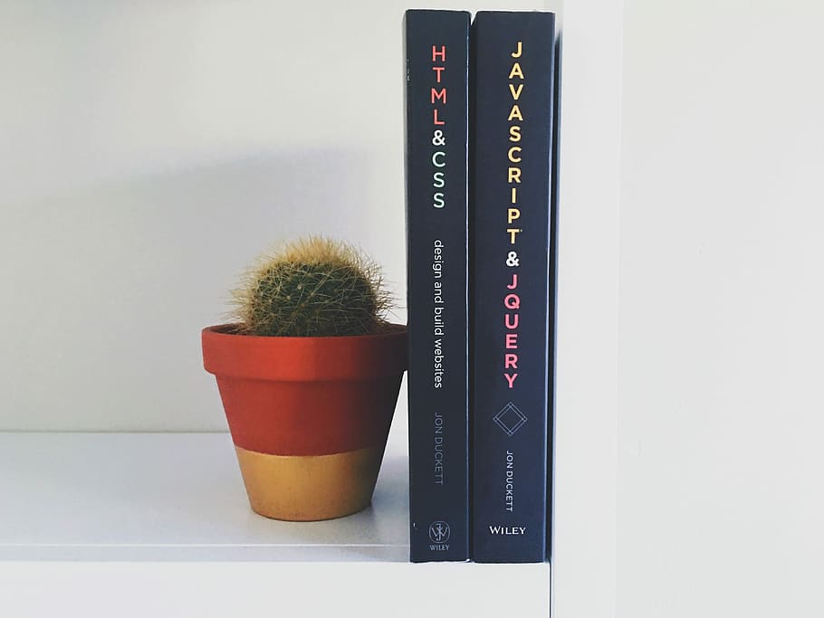 HTML & CSS book, two books beside cactus plant on pot, shelf