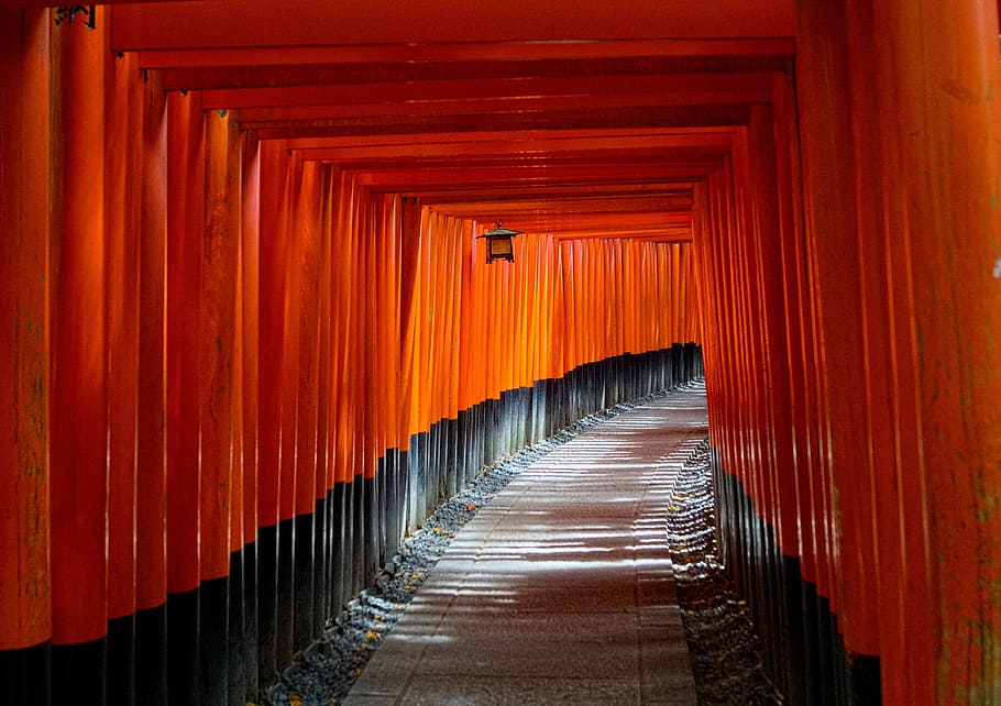 red and black tunnel during daytime, kyoto, japan, torii gate, HD wallpaper