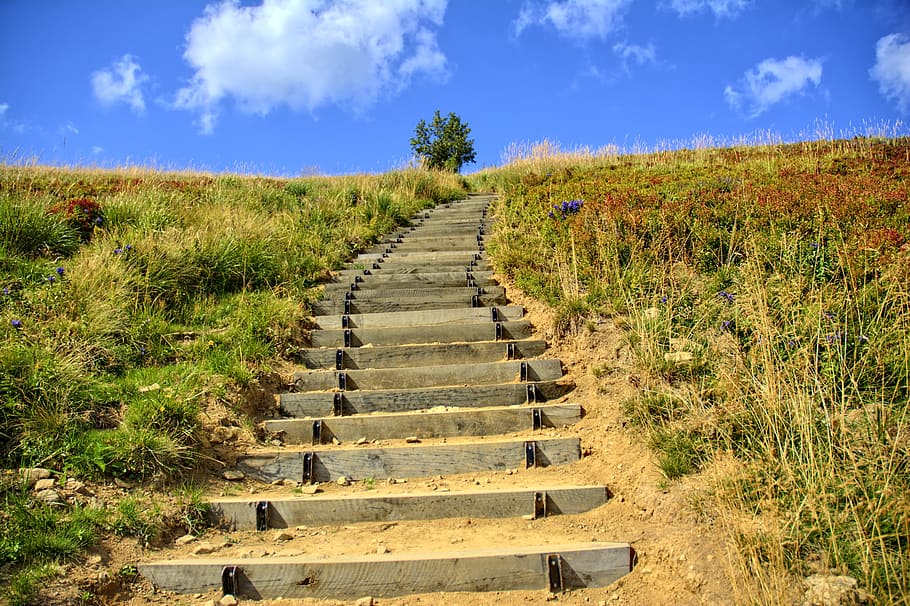 gray cement stair surrounded by grass under blue and white cloudy sky HD wallpaper