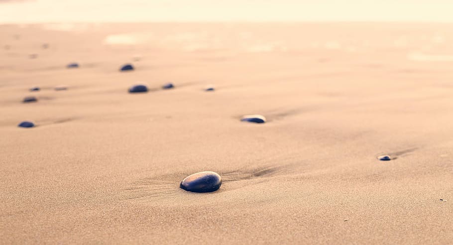 selective focus photography of black stone in sand, beach, pebble HD wallpaper