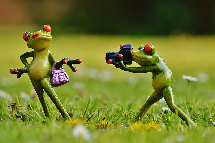 frog posing while other frog talking photo figurines, photographer