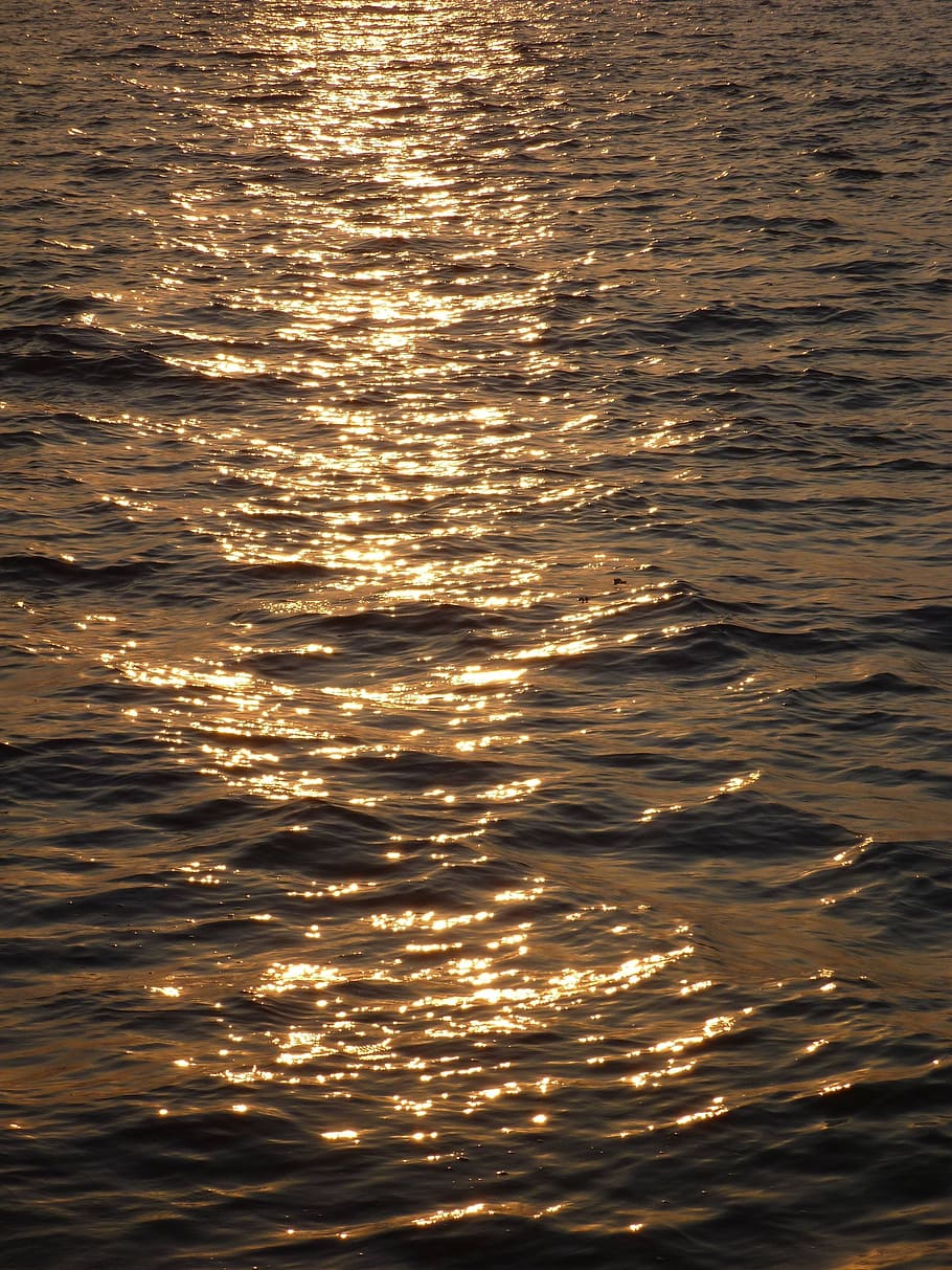 sunset, sea, water, waves, calm, reflexions, ripples, sunlight