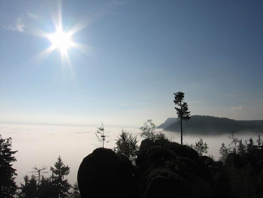 broumov, inversion, sun, heaven, sky, landscape, tree, plant HD wallpaper