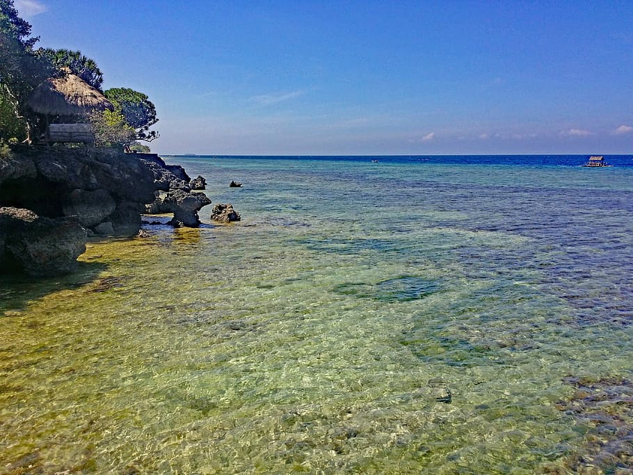 Moalboal, Cebu, Philippines, Beach, coast, crystal clear, water HD wallpaper